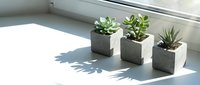 Three small succulent plants in modern concrete square planters arranged on white windowsill with natural sunlight creating soft shadows for home decor.