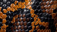 Macro shot of snake skin pattern showing detailed black and orange scales in honeycomb arrangement, creating natural geometric texture and abstract background design.