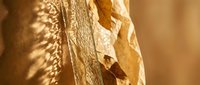 Dried leaf texture with natural golden-brown tones and delicate veining, suitable for backgrounds, nature designs, and organic material concepts.