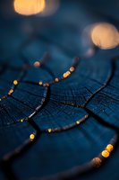 Golden light bokeh on dark blue wooden texture with natural cracks and rings, creating atmospheric mood for background designs.