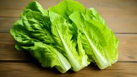 Fresh romaine lettuce hearts with crisp green leaves arranged on wooden table background, natural organic produce for healthy eating and salad preparation.