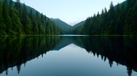 Serene mountain lake surrounded by dense evergreen forest with mirror-like water surface reflecting pine trees and hills, creating symmetrical landscape in moody atmosphere.