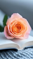 Delicate peach rose placed on open book pages with soft gray knitted fabric beneath. Romantic composition with shallow depth of field captures intimate reading moment.