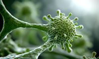 Green microscopic virus cell with spiky surface proteins shown in detailed scientific visualization against blurred cellular background for medical education.
