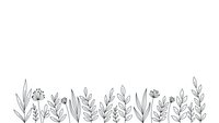 Minimalist line art botanical border with wildflowers and grass stems on white background for decorative design projects and nature-themed layouts.