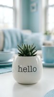Succulent plant in a white ceramic pot with hello text on a table in a cozy light blue living room interior.