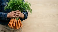 Farmer holding fresh organic carrots with green leafy tops against wooden surface, showcasing harvest produce for agriculture and farming concepts.