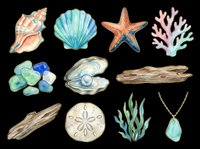 Watercolor ocean elements set with shells, starfish, coral, sea glass, pearl oyster, driftwood, sand dollar, and seaweed, isolated on transparent background for clipart and t-shirt design.