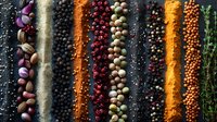 Vibrant rows of colorful spices, peppercorns and aromatic seasonings arranged in artistic stripes on dark background, culinary composition for food styling.