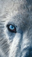 Close-up of white wolf with piercing blue eye showing detailed fur texture and intense gaze against dark background, dramatic wildlife art composition.