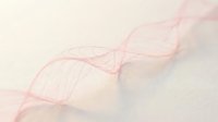 Delicate pink ribbon flowing gracefully across soft textured paper background creating elegant feminine aesthetic for wedding invitations and luxury branding.