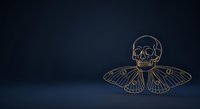 Skull with butterfly wings line art illustration on dark blue background, suitable for gothic, mystical, and alternative design projects.