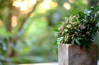 Fresh green foliage and delicate pink flowers arranged in rustic concrete planter against soft bokeh background creates serene garden atmosphere.