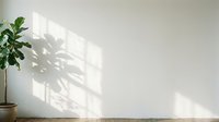 Sunlight casts geometric shadows from window panes onto white wall with potted green plant, creating minimalist interior design aesthetic for home decor and architectural visualization projects.