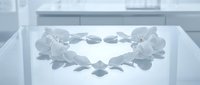 White orchid petals arranged in a heart shape on a reflective glass surface, soft light blue tones, romantic floral composition for wedding or love themes.