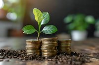 Green plant growing from golden coins stacked on soil, symbolizing financial growth, sustainable investment and wealth development in natural environment.