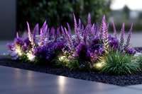Purple flowering veronica spicata plants with glowing garden lights in decorative gravel bed create magical evening atmosphere in modern landscape design.