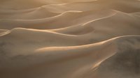 Golden sand dunes with flowing curves and soft shadows creating natural desert landscape patterns for travel and nature backgrounds.