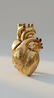 Golden anatomical heart sculpture with detailed vessels and arteries on neutral background for medical education and artistic displays.