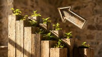 Young green plants growing from wooden posts in ascending height pattern with upward arrow symbolizing business growth and development in natural outdoor setting.