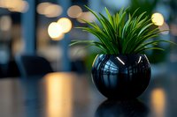 Green plant in round black ceramic pot on reflective surface with soft bokeh lights in background, modern minimalist office decor setting.