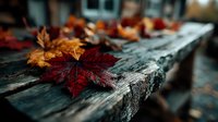 Vibrant red maple leaf resting on weathered wooden bench with autumn foliage blurred in background, creating seasonal atmosphere for fall design projects.