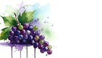 Watercolor grape cluster with green leaves and paint drips on white background. Fresh fruit illustration for wine labels, kitchen decor and culinary designs.