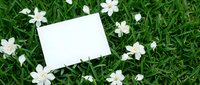 Blank white card on lush green grass surrounded by delicate white flowers, top view flat lay mockup for spring greeting or invitation design.