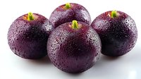 Fresh ripe plums with water drops on dark purple skin arranged in group on white background, macro food photography for healthy eating concept.