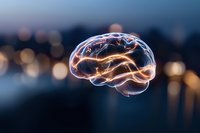 Glowing translucent brain with orange light trails floating against blurred city bokeh background at dusk, representing artificial intelligence and cognitive science.