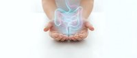 Hands protecting glowing digestive system hologram on white background. Medical healthcare concept for gastroenterology and intestinal health awareness.