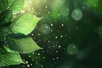 Fresh green leaves covered in morning dew drops against dark bokeh background with magical sparkles and light effects, nature macro photography.