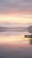 Serene lake at dawn with wooden dock, misty forest shoreline, and soft pink-purple sky reflecting on calm water. Peaceful nature landscape.