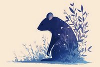 Mystical mouse silhouette in deep blue watercolor with delicate floral elements and starry details creates dreamy nature-inspired artwork for stationery and prints.