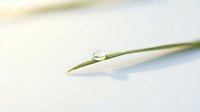 Single water droplet resting on green grass blade tip with soft blurred background creating peaceful natural macro photography composition for wellness content.