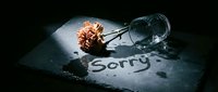 Wilted carnation and overturned glass on dark stone surface with the word Sorry written in water, evoking regret, apology, and emotional pain.