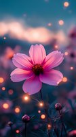 Pink cosmos flower in dreamy evening light with glowing bokeh effects and blurred teal background, creating magical garden atmosphere for nature photography.