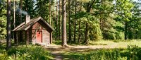 Small wooden cabin with red door nestled among tall evergreen trees in forest clearing, surrounded by lush green vegetation and natural woodland landscape.
