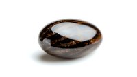 Smooth polished brown stone with white stripe pattern on white background, natural mineral specimen isolated for jewelry and wellness design.
