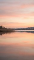 Serene lake at sunrise with soft pink and golden sky reflecting on calm water, bare trees lining distant shoreline, peaceful nature landscape for backgrounds and editorial use.