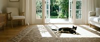 Relaxed black and white cat lying on woven rug in bright living room with open French doors leading to lush garden view.