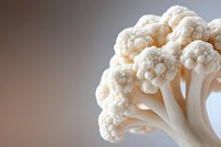 Fresh cauliflower florets close-up on neutral background, showcasing natural texture and creamy white color for food photography and culinary content.