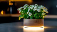 Fresh white daisies in modern illuminated wooden planter creating cozy atmosphere with warm glowing light strip on dark background.