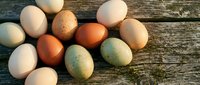Fresh farm eggs in various natural colors scattered on rustic wooden planks for organic cooking and healthy breakfast preparation.