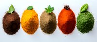 Colorful spice powders arranged in oval shapes with fresh herb leaves on white background, panoramic composition of organic seasoning ingredients for cooking.
