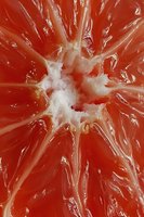 Fresh red grapefruit cross-section showing juicy segments and white pith center. Vibrant citrus fruit macro photography for healthy eating and nutrition content.
