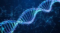 Digital DNA double helix structure with glowing blue connections on dark background for biotechnology and genetic research applications.