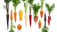 Colorful heirloom carrots collection with green tops isolated on white background. Fresh organic root vegetables in rainbow colors for healthy cooking.