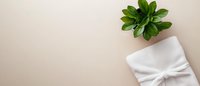 Minimalist composition with green succulent plant and white gift box with bow on beige background. Clean modern layout with copy space for text.