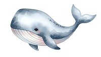 Watercolor whale illustration with pink belly isolated on white background for marine themed designs and ocean wildlife projects.